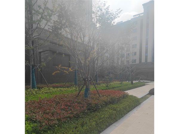 西荷花塘剩余地塊和2018-4-1號地塊房地產開發項目